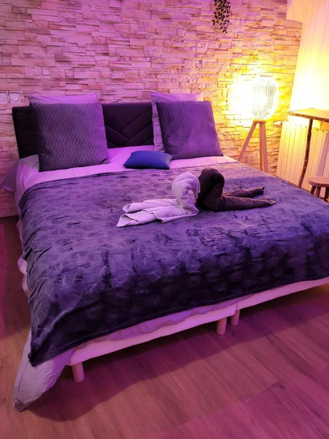 Le Spa De La Cathedrale - Jacuzzi - Sauna - Champagne - Netflix - Wifi トロワ エクステリア 写真