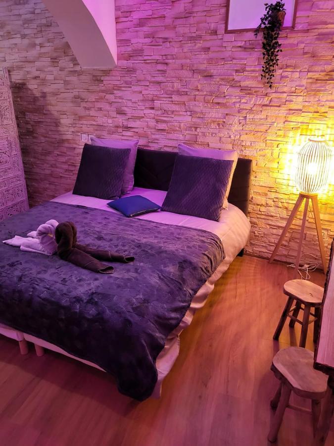 Le Spa De La Cathedrale - Jacuzzi - Sauna - Champagne - Netflix - Wifi トロワ エクステリア 写真